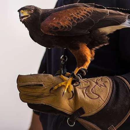 Ogcity Cholet Sud La Verriaire * Chanverrie