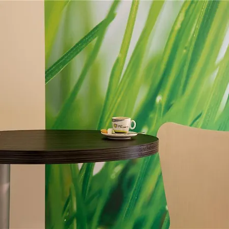 Ogcity Cholet Sud La Verriaire