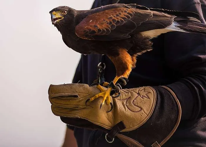 Ogcity Cholet Sud La Verriaire * Chanverrie